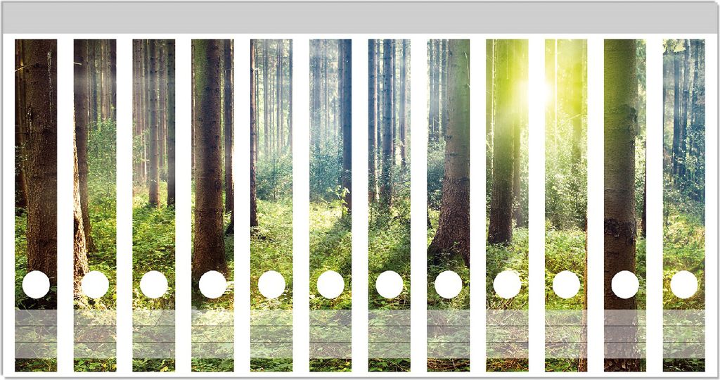 Wallario Ordnerrücken Sticker, selbstklebend für schmale Ordner, 12 Stück, Motiv Sonnenuntergang im Wald zwischen den Bäumen