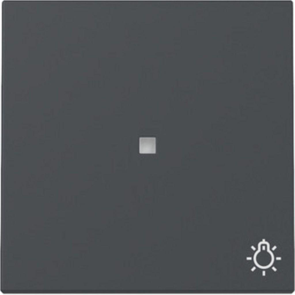 GIRA 367428 Wippe Kontrollf.+ Symb. Licht System 55 Produktbild 