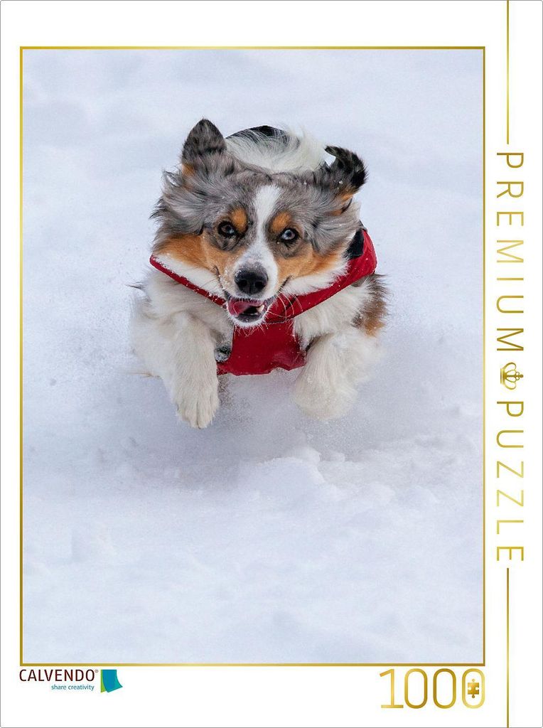 CALVENDO Puzzle Schneepflug | 1000 Teile Lege-Größe 64x48cm Produktbild 