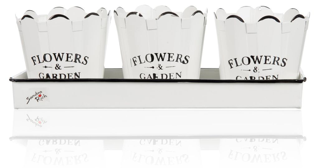 FLOWERS & GARDEN Set aus 3 Übertöpfen und einer Schale aus Produktbild 