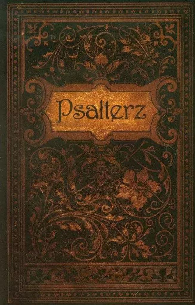 ISBN 9788374921671, Polnisch, Taschenbuch, 368 Seiten