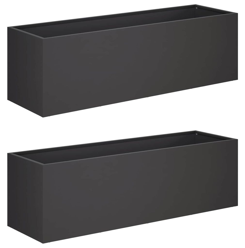vidaXL Jardinières pour plantes, lot de 2, noir, 100 x 30 x Image du produit 
