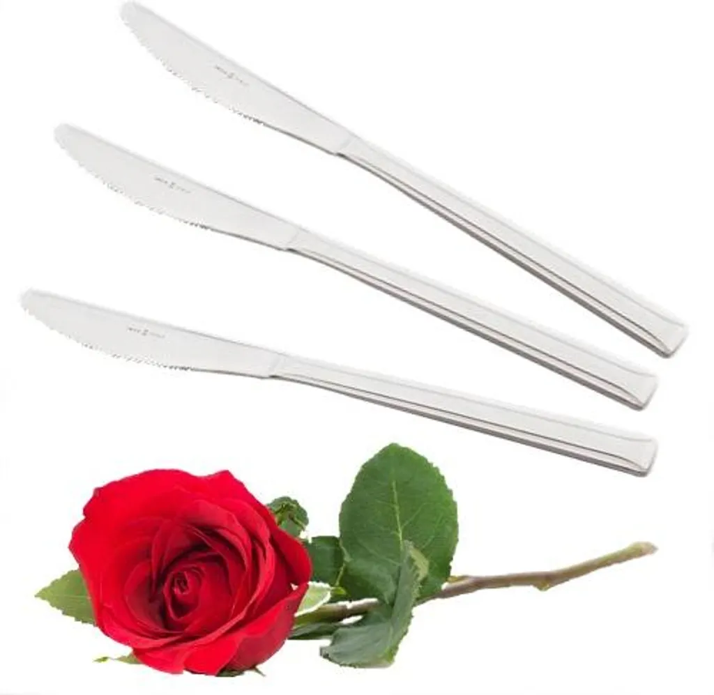 Set di coltelli da tavola 6 pezzi Erica posate splendidamente lucidato La Torre italiano