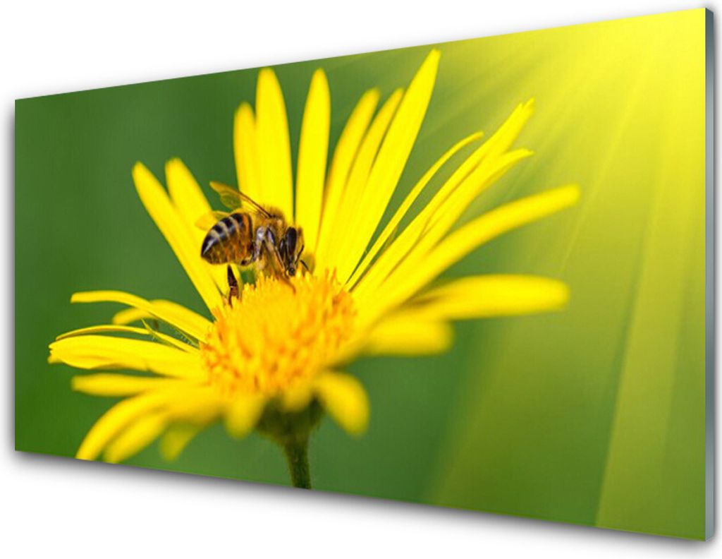 Küchenrückwand aus Glas 100x50cm Spritzschutz Wespe Blume Pflanzen