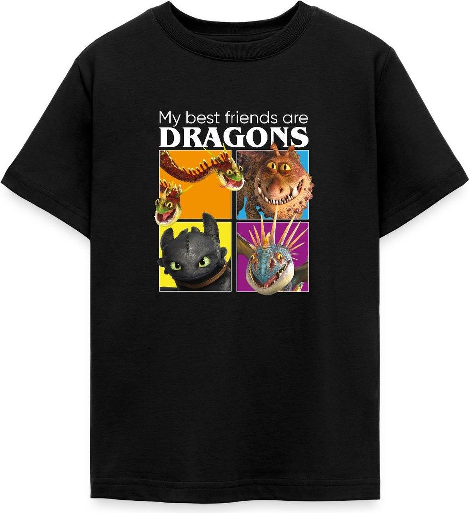 Spreadshirt Drachenzähmen Leicht Gemacht Beste Freunde Teenager T-Shirt, 134/146 (9-11 Jahre), Schwarz