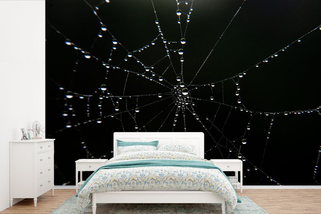 MuchoWow Fototapete für Wohnzimmer oder Schlafzimmer Wandtapete Vinyl Motivtapete Regentropfen auf Spinnennetz - 600x400 cm - Vinyltapeten