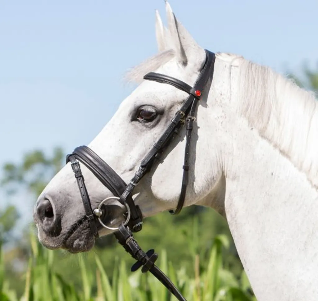 Bridon Kieffer Ultrasoft Economy VB - Filet en Cuir Souple pour Cheval
