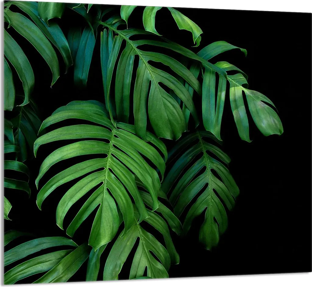 Tagliere Gigante 65x60 in Vetro Monstera | Paraschizzi Design Moderno