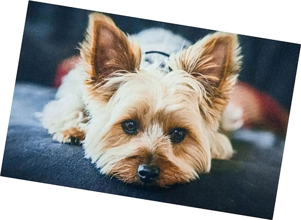 Protišmyková podložka Pes 40x60 cm - Yorkshire Terrier Obrázok produktu 