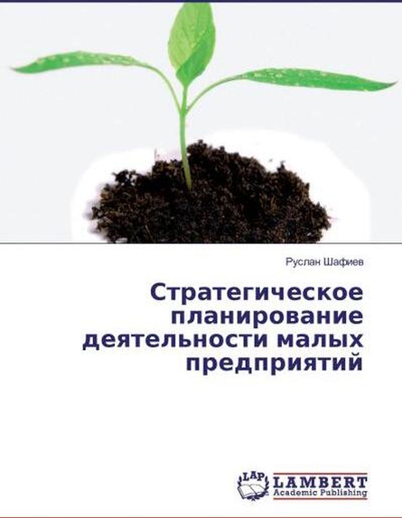 Strategicheskoe planirovanie deyatel'nosti malyh predpriyatij