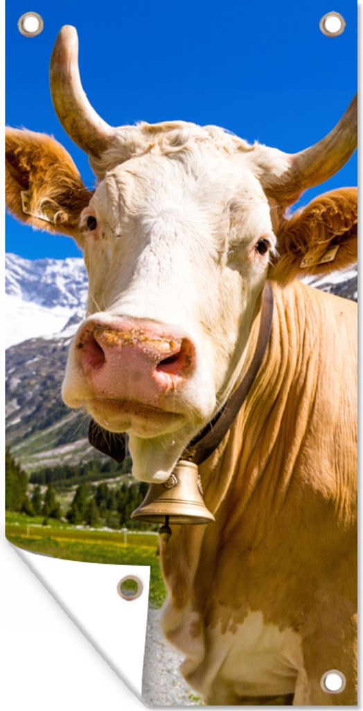 MuchoWow 30x60 cm Outdoor-Poster Gartendeko Sichtschutz Garten Poster für den Garten Kuh - Schnee - Alpen