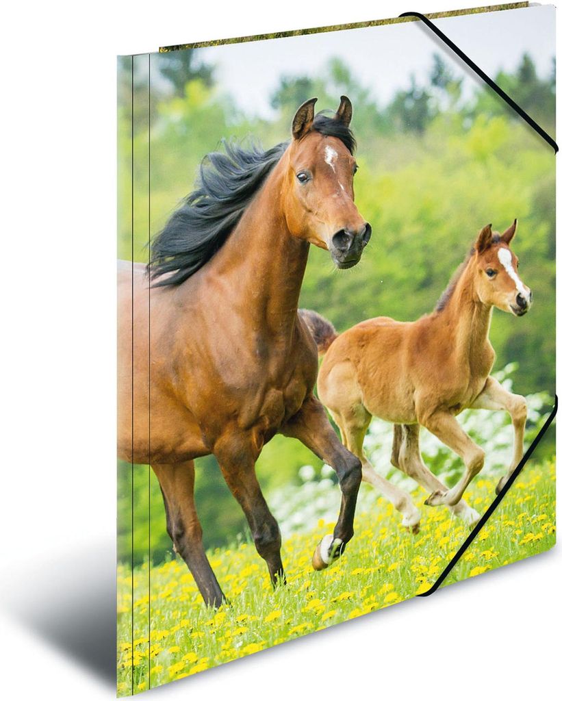 Sammelmappe DIN A4 'Pferde'