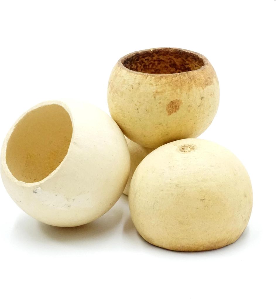 BioDesert Nut getrockneter Mohnsamen Hideout 5-8cm