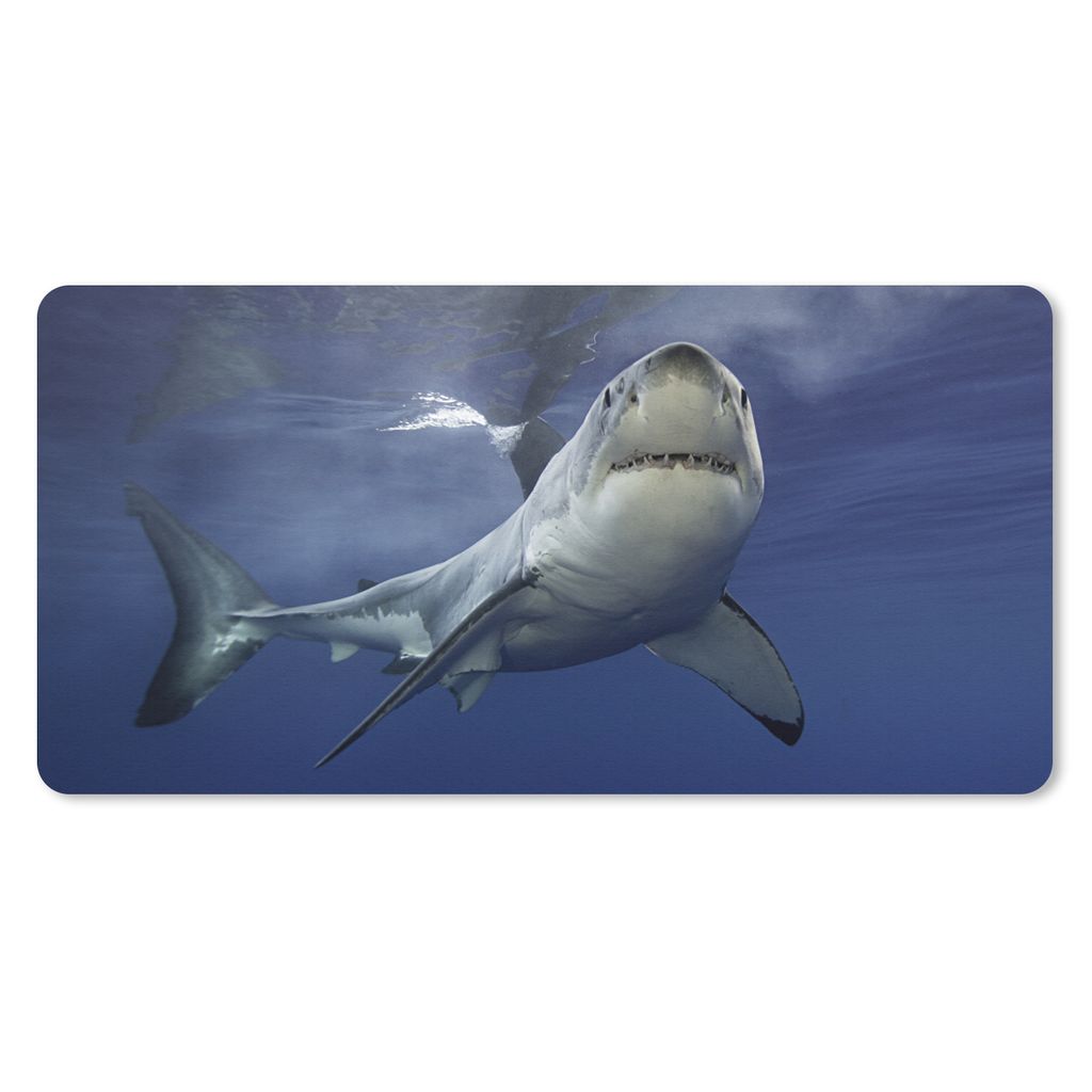 MuchoWow Schreibtischunterlage Weißer Hai 80x40 cm - XXL Mauspad - Gaming Mauspad
