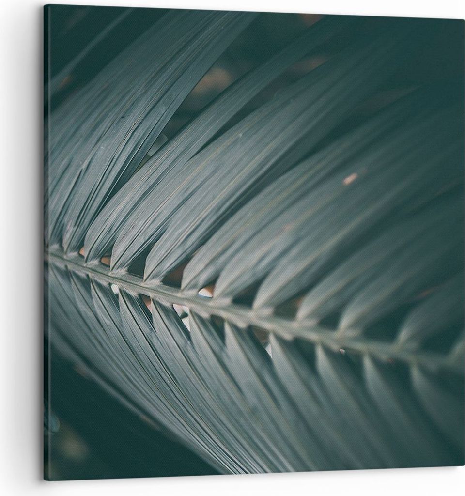 Bild auf Leinwand - Leinwandbild - Einteilig - Blatt Palme exotisch - 50x50cm - Wand Bild - Wanddeko - Wandbilder - Leinwanddruck - Bilder - Wandde...