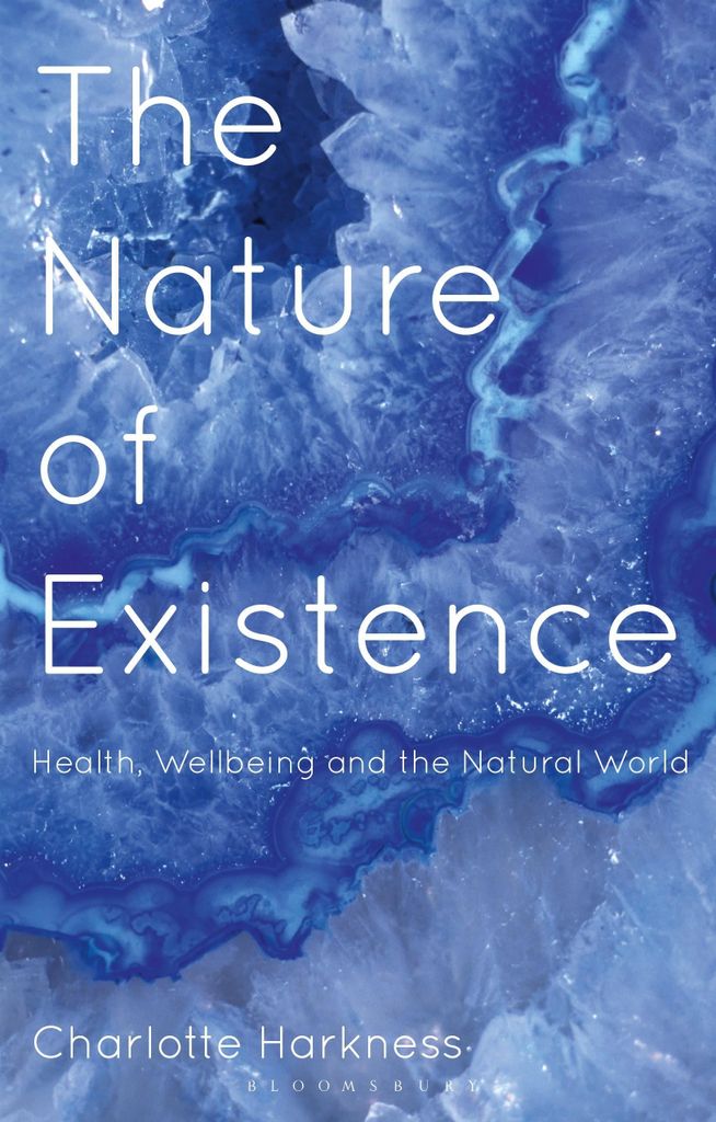The Nature of Existence