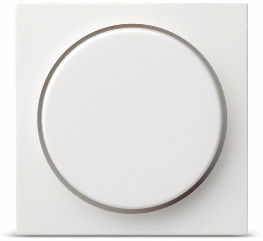 065003 Abdeckung Drehdimmer RG Produktbild 7