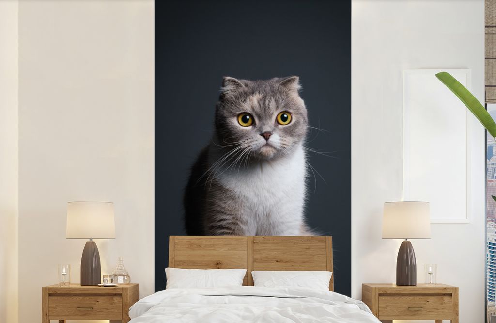 MuchoWow Fototapete für Wohnzimmer oder Schlafzimmer Wandtapete Vinyl Motivtapete Katze - Haustiere - Licht - 120x240 cm - Hintergrundbild