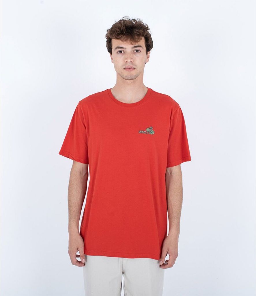 Hurley Everyday Oasis Of Pleasure Kurzarm-t-shirt Orange M Mann Orange M