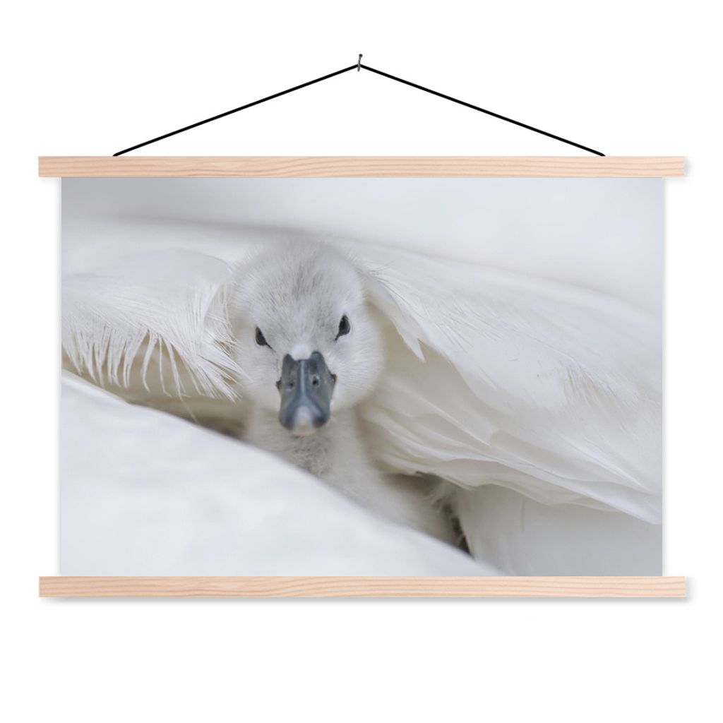 MuchoWow Textilposter Schwan - Küken - Weiß 120x80 cm mit holzfarbenen Rahmen - Aufhängeset