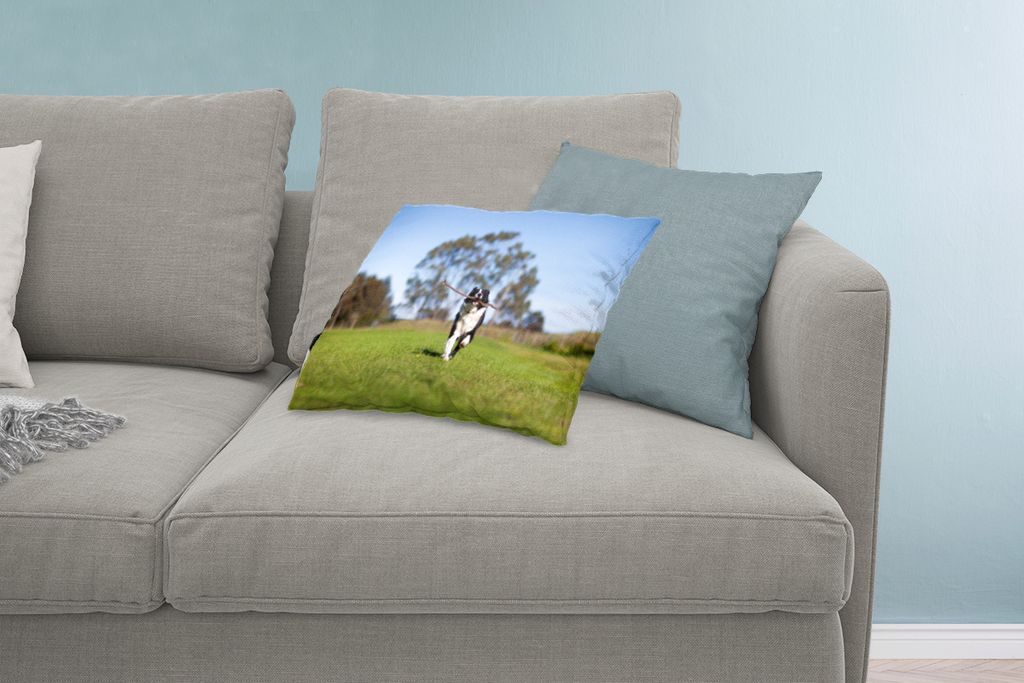 MuchoWow Zierkissen Sofakissen Wohnzimmer Dekokissen 60x40 cm Ein Border Collie mit einem Stock im Maul - Kopfkissen - Polster mit Foto