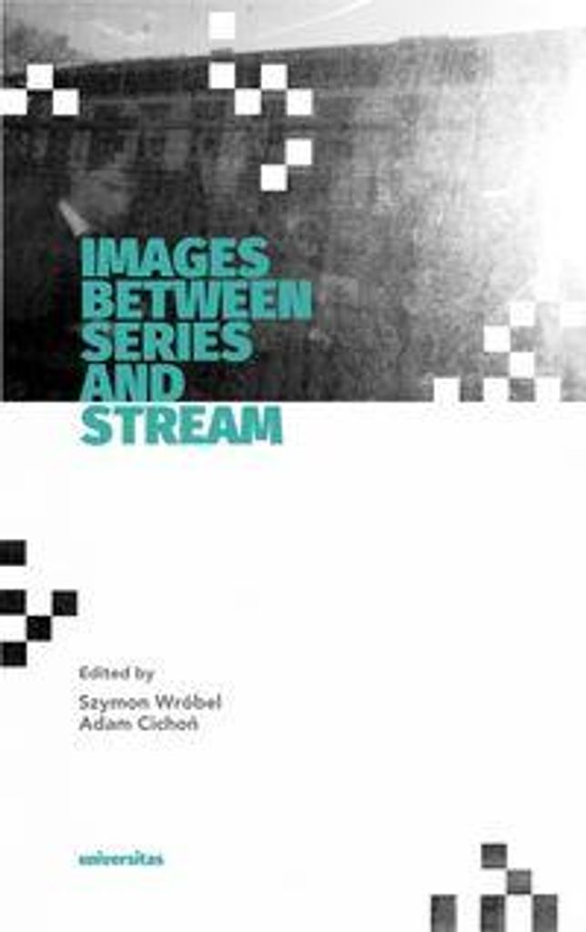 Images Between Series and Stream - Opracowanie Zbiorowe (Literatur in Englisch)