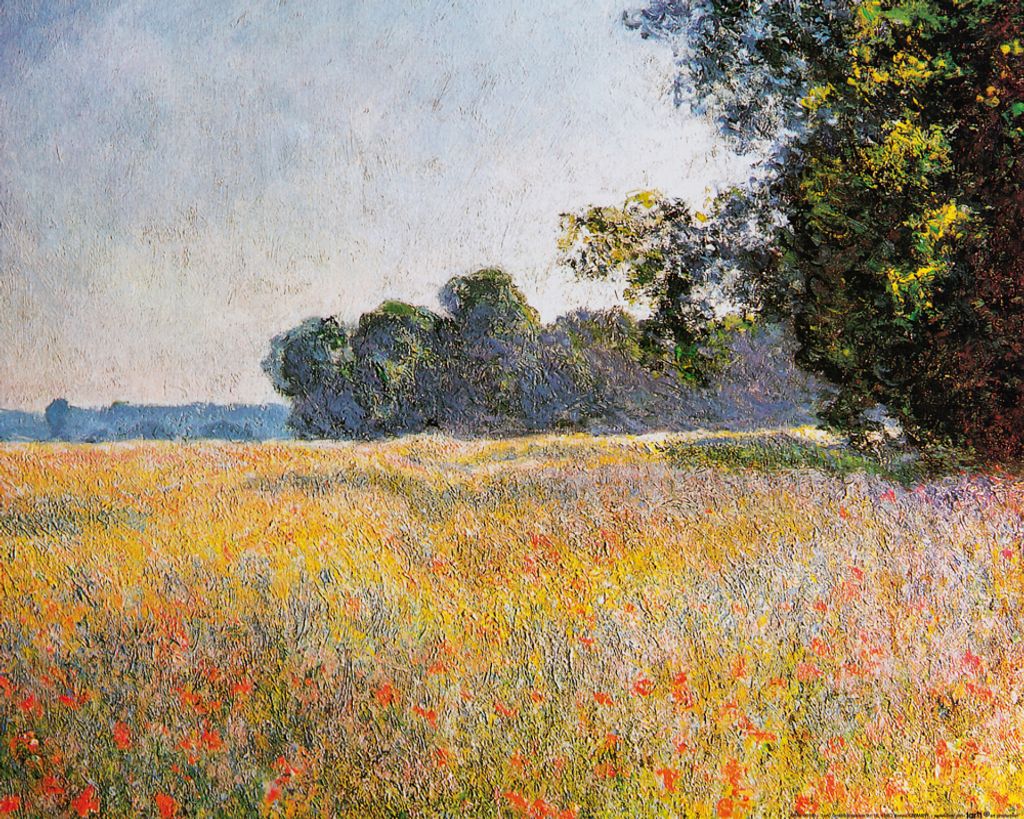 Claude Monet Kunstdruck Bild - Haferfeld Mit Mohnblumen, 1890 (40 x 50 cm)