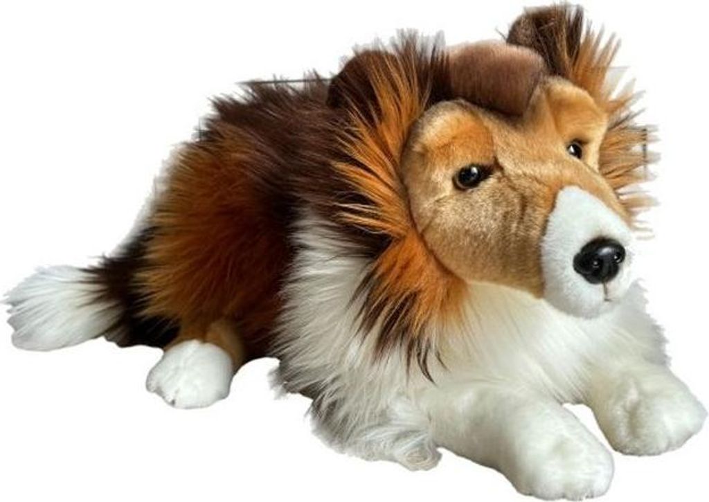 Schottischer Schäferhund 61cm 11721