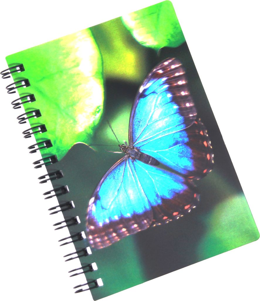 3D Notizbuch - blauer Morphofalter- klein Produktbild 