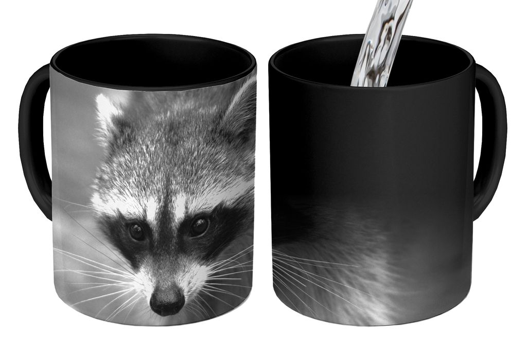 KitchenYeah Zauber Tasse Zaubertasse Magic Waschbär auf Beutezug 350 ml Farbwechsel Becher Geschenk Geschenkidee - Magic-Tasse - Fototasse - Ker...