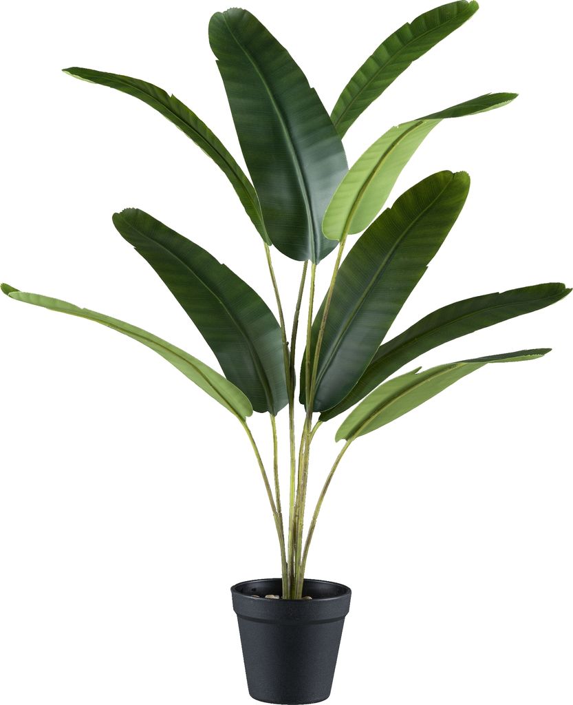 Mini-Bananen Pflanze 65 cm Kunstpflanze im eleganten schwarzen Kunststofftopf 10,5 cm