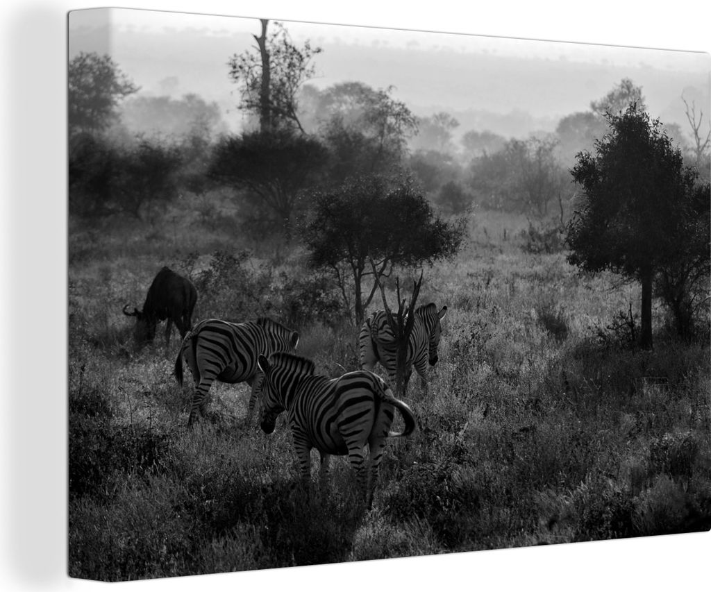 OneMillionCanvasses - Leinwandbilder - 140x90 cm, Nebliger Morgen im Krügerpark in Südafrika - schwarz und weiß, Wandbilder Kunstdruck Wanddek...