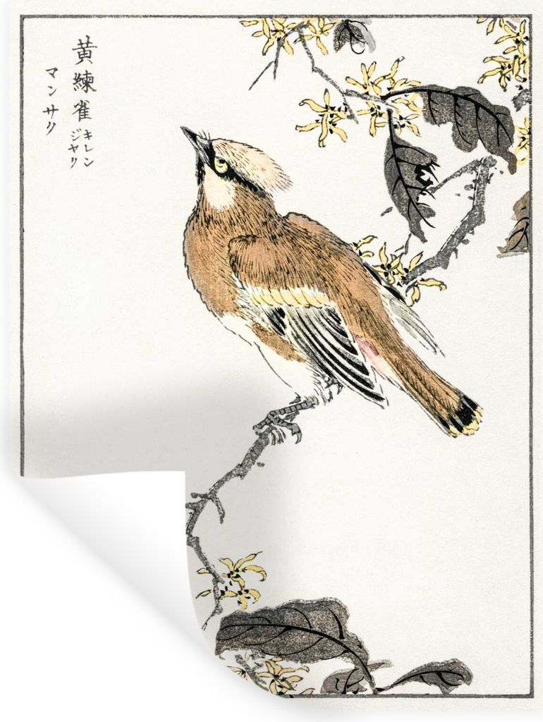 MuchoWow Wandtattoo Wandsticker Wandaufkleber Vogel - Japanisch - Baum 120x160 cm Selbstklebend und Repositionierbar - Wierderverwendbar - Selbst...