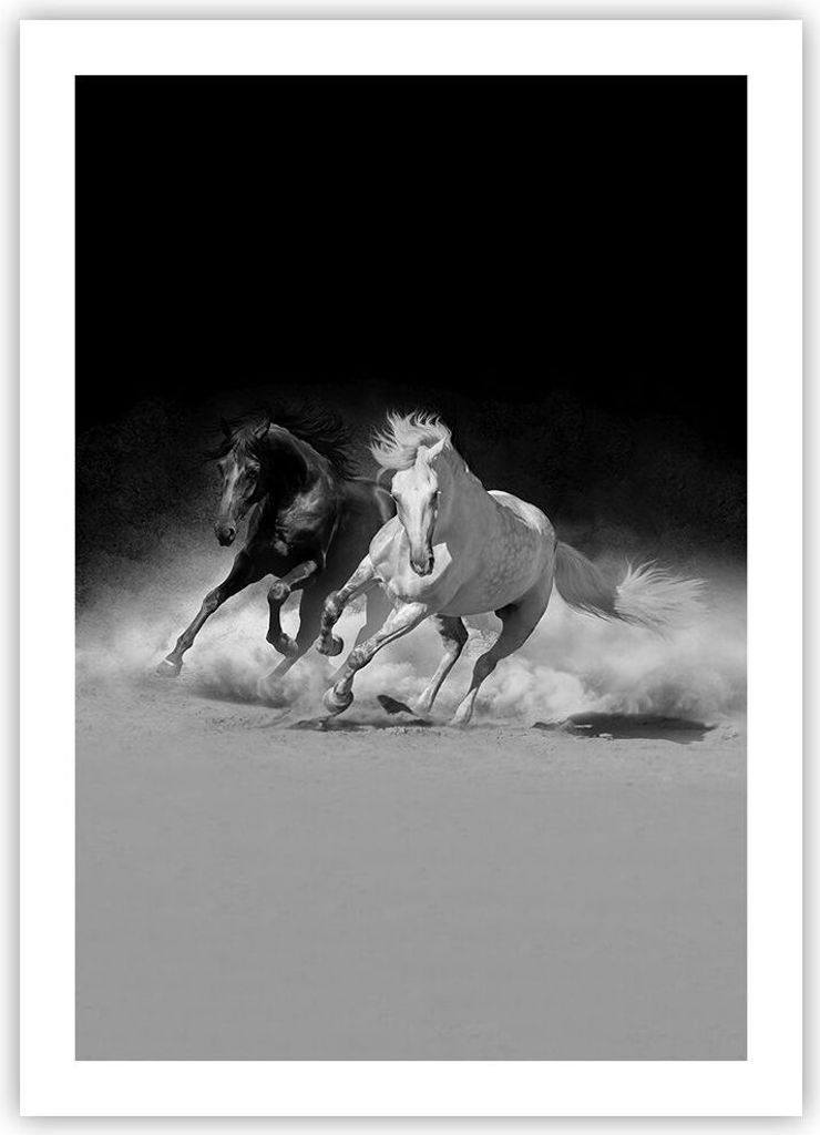 Poster - Poster ohne Rahmen - Andalusier Pferde Galopp - 50x70 cm - Wand Bild - Wanddeko - Wandbilder - Kunstposter - Wandposter - Bilder - Kunstdr...