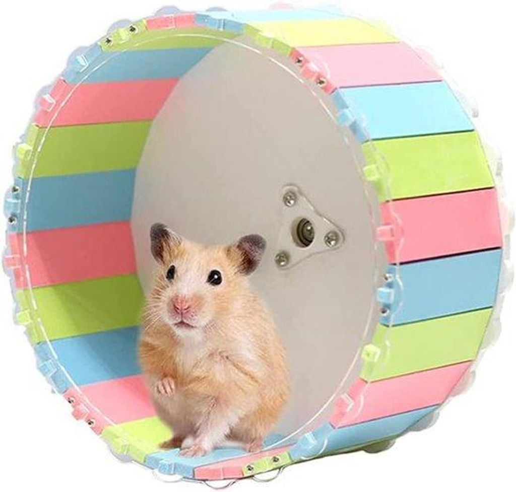 Läufrad für kleine Tiere, geräuscharm, Hamster, Chinchilla