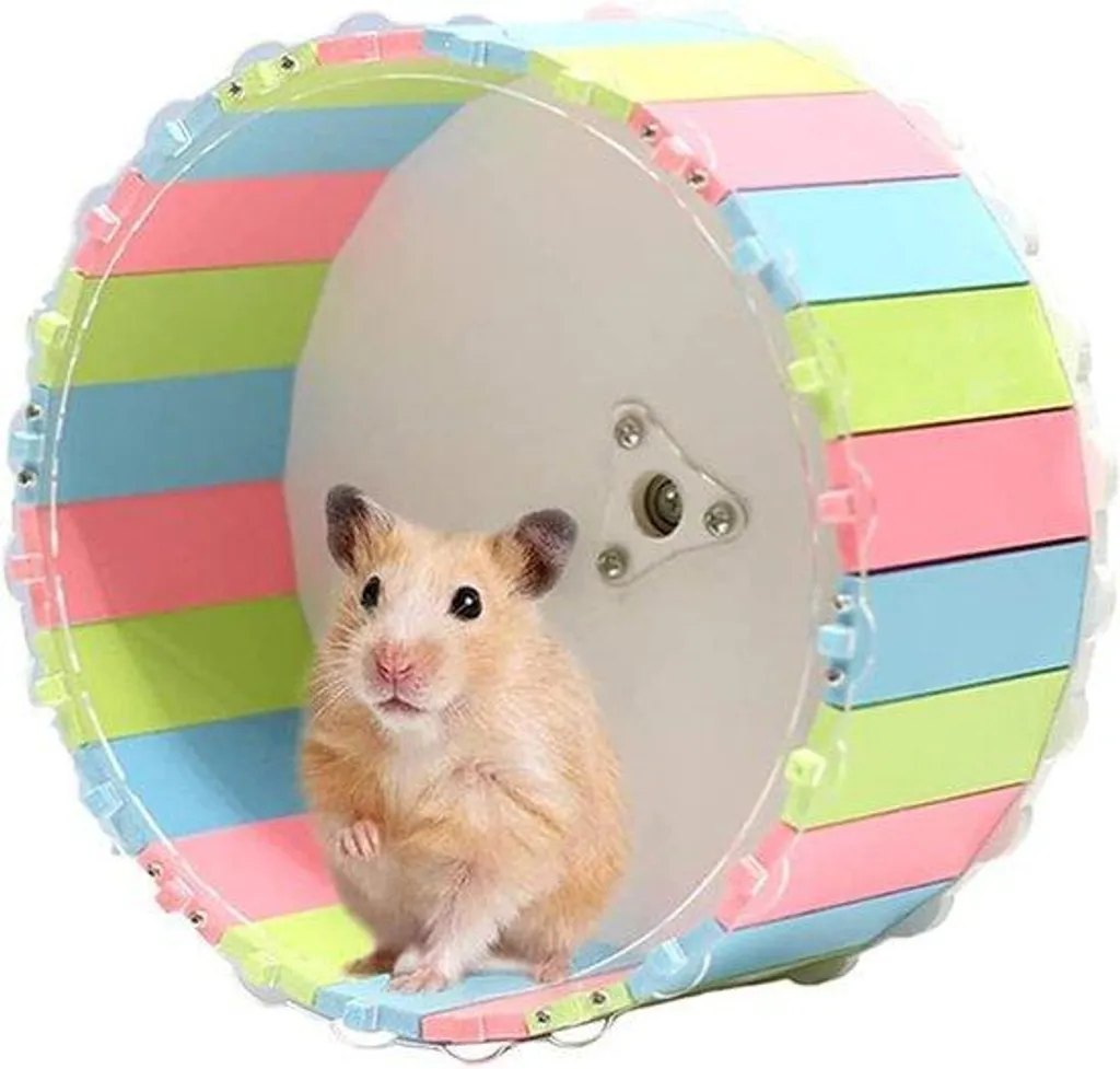 Roue d'exercice pour hamster et chinchilla - Idéal pour cage et enclos
