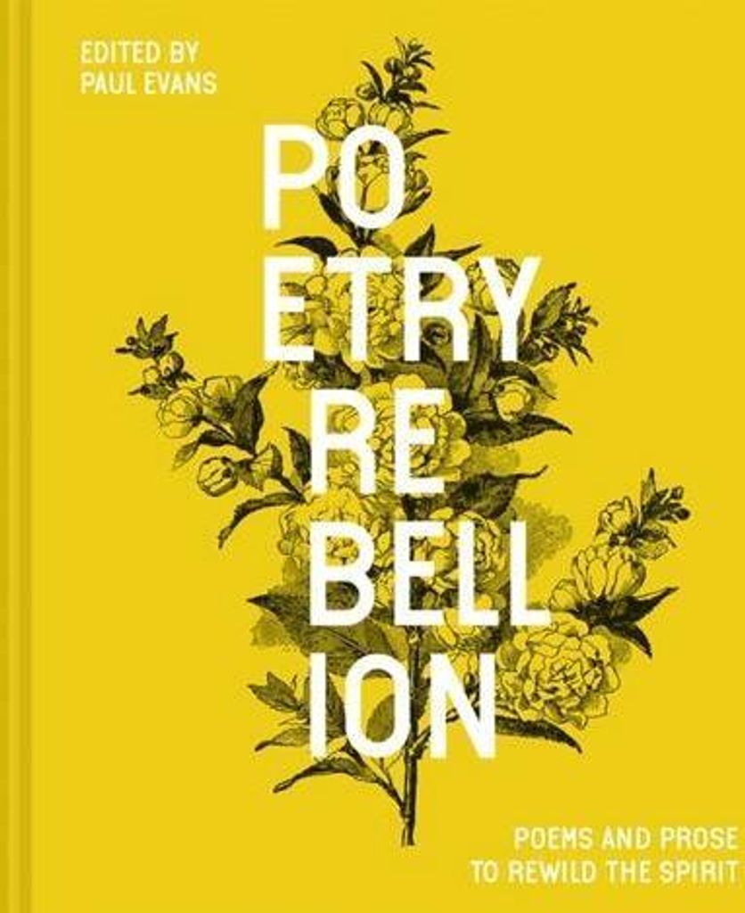 Rebellion der Poesie