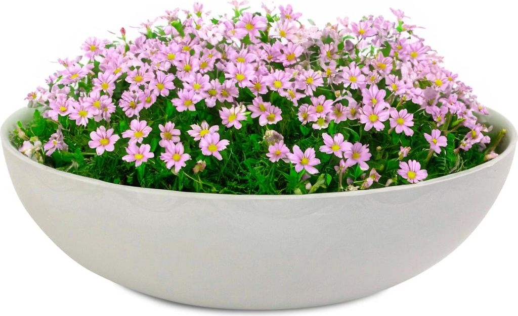 Pflanzschalen für draussen Dekoschalen rund beige grau 30 cm