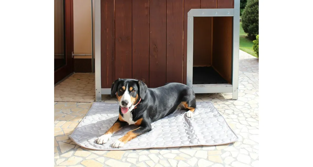 Cuscino Refrigerante Cane XXL Grigio - Materassino Ice Cushion per Estate - 2