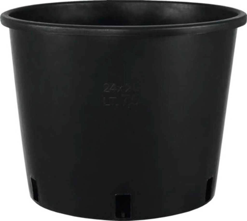 Pflanztopf geli Baumcontainer Kunststoff Ø 24 cm H 20,5 cm Produktbild 
