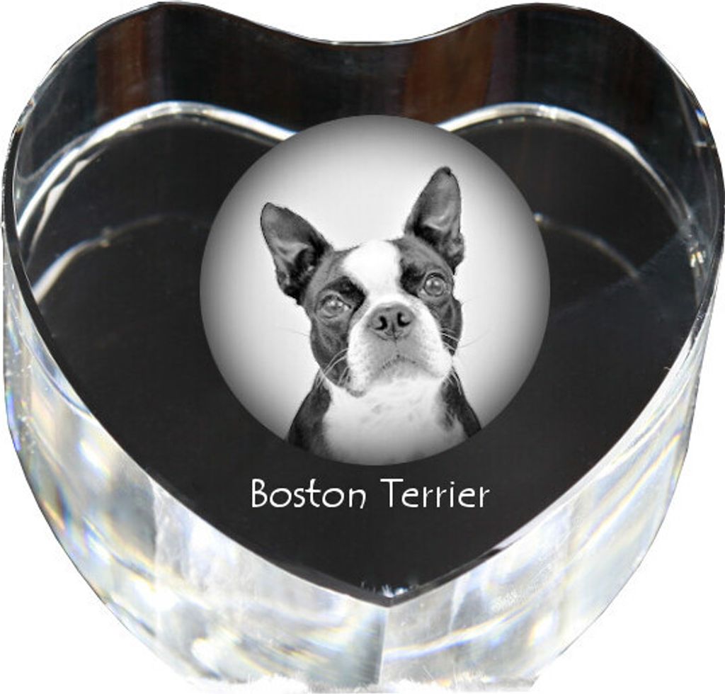 Boston Terrier - Hundebild im Kristall, Kristallherz, einzigartiger Bilderrahmen der Marke Art-Dog