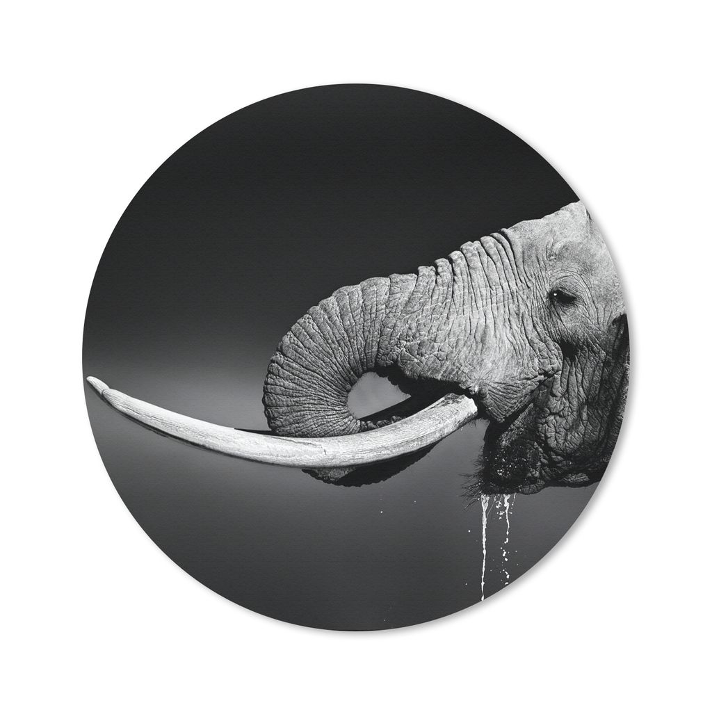 MuchoWow Mauspad Mousepad Elefant - Wasser - Tiere - Schwarz - Weiß 50x50 cm - Mousepads - Maus Mat - Pad - Mausunterlage - Vinyl