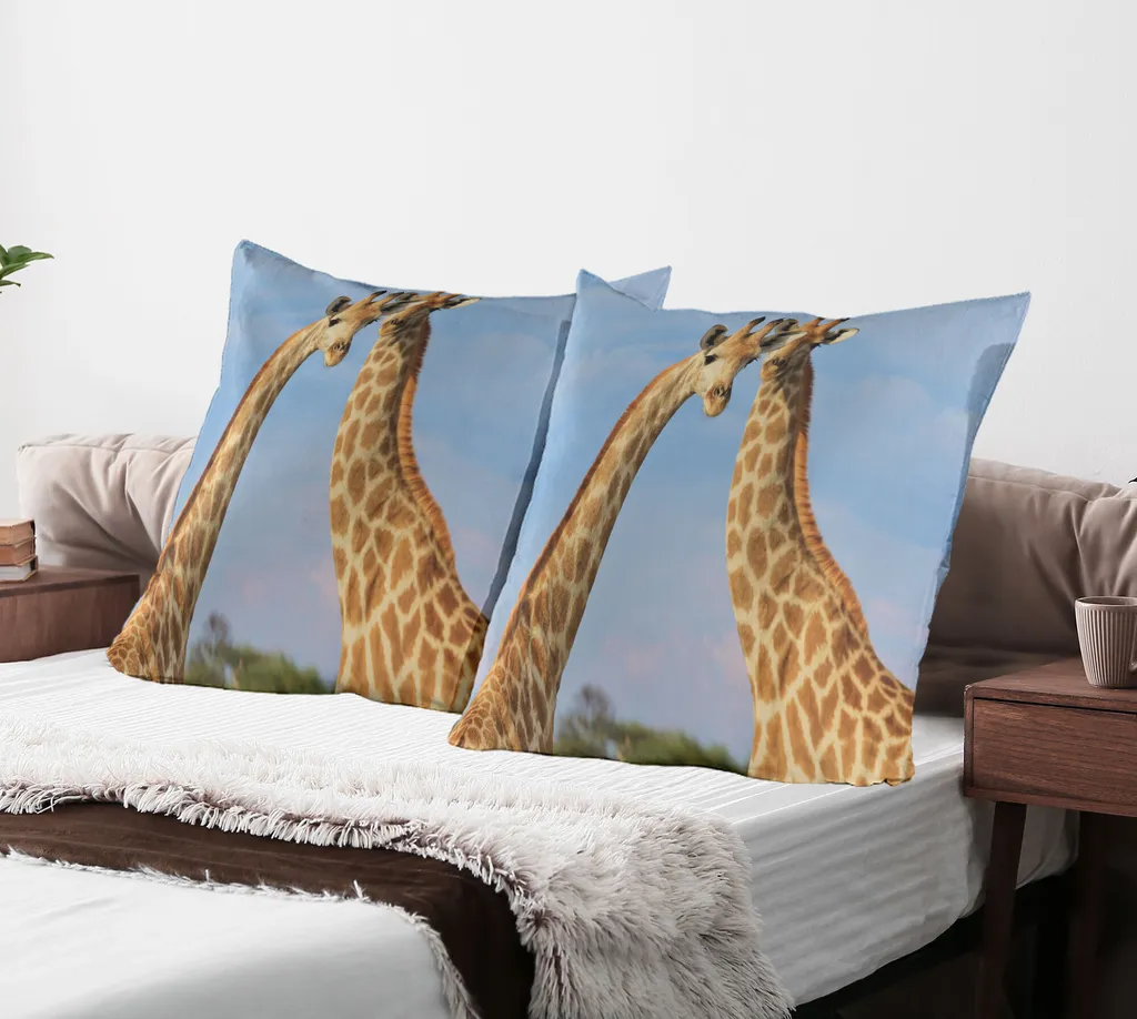 ABAKUHAUS Federa per cuscino Giraffa Confezione da 2, foto di coppia di animali selvatici con effetto fotografico sfocato, federa decorativa stampata, 80x80 cm, azzurro pallido multicolore