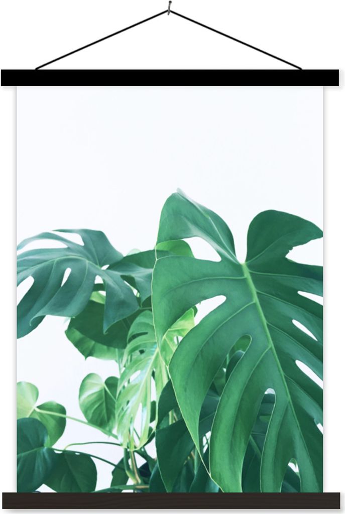 MuchoWow Textilposter Enorme botanische Blätter der Lochpflanze auf einem weißen Hintergrund 40x53 cm mit schwarzem Rahmen - Abbildung
