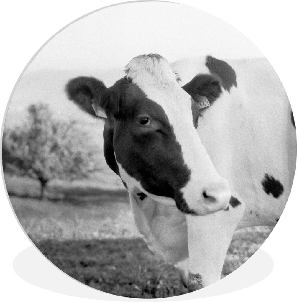 MuchoWow - Schlafzimmer - Bilder - Der Kreis - Kunst für die Wohnung - Plastik - Kunstdruck - Wandbild