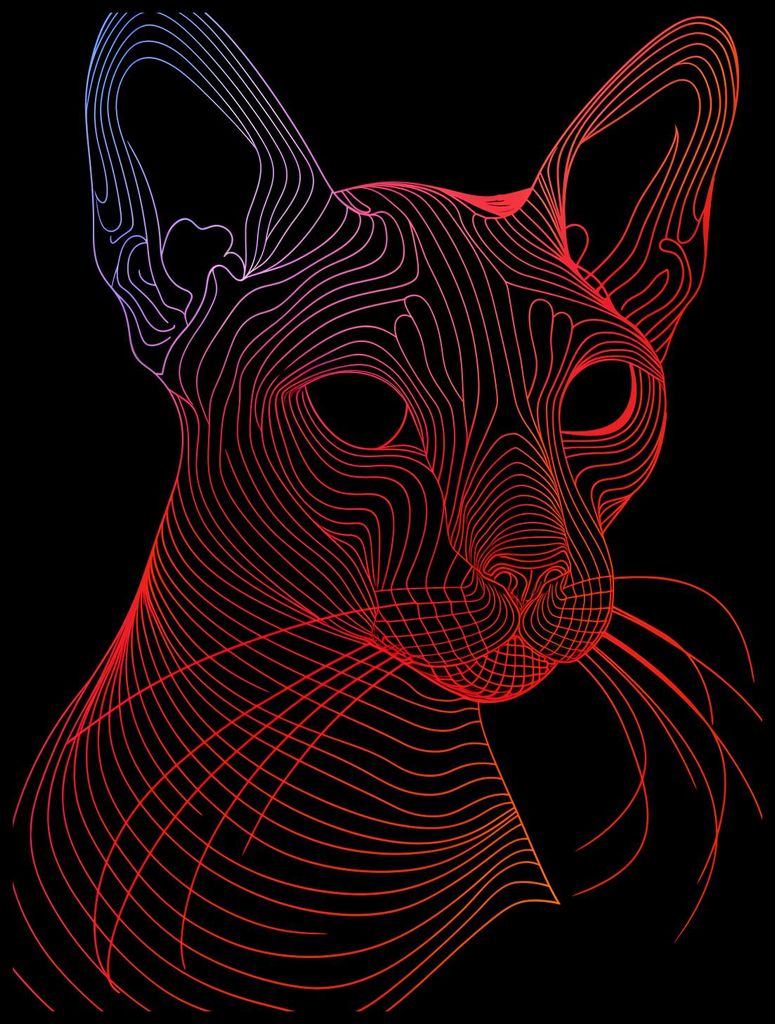 Plakat 60x80cm Digitale Katze