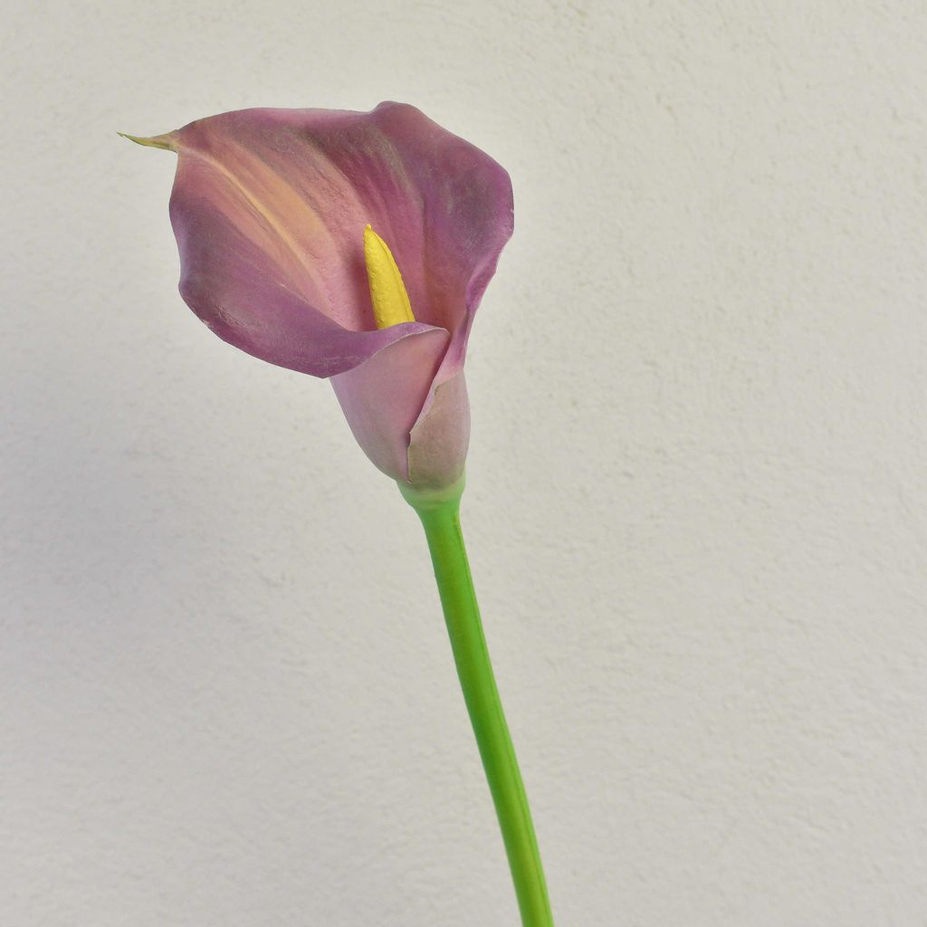artplants.de Künstliche Zantedeschie TALEA, violett, 65cm, 9x11cm - Kunstblume Zantedeschia