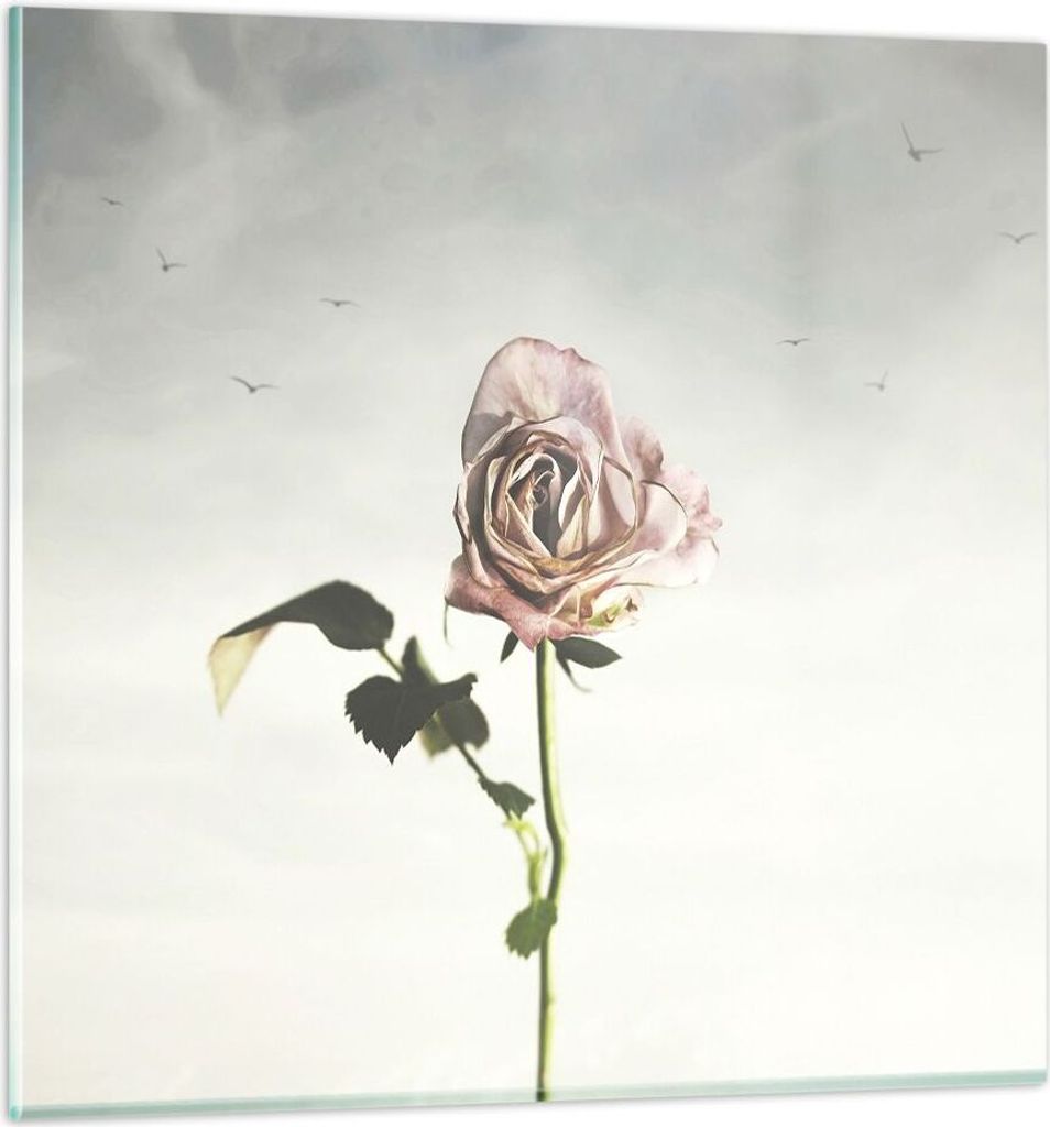 Bilder auf glas - Einteilig - Rose Vögel Himmel - 60x60cm - Glasbilder - Wandbilder - Bilder - zum Aufhängen bereit - Wanddekoration aus Glas - G...