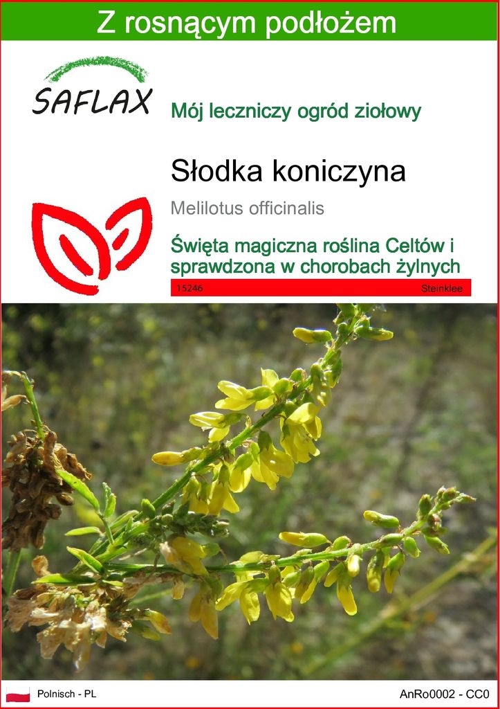SAFLAX - Słodka koniczyna - 250 Nasiona - Z podłożem Zdjęcie produktu 