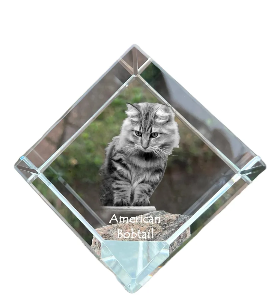 Cube en Cristal Art-Dog avec Image de Chat American Bobtail Haute Qualité
